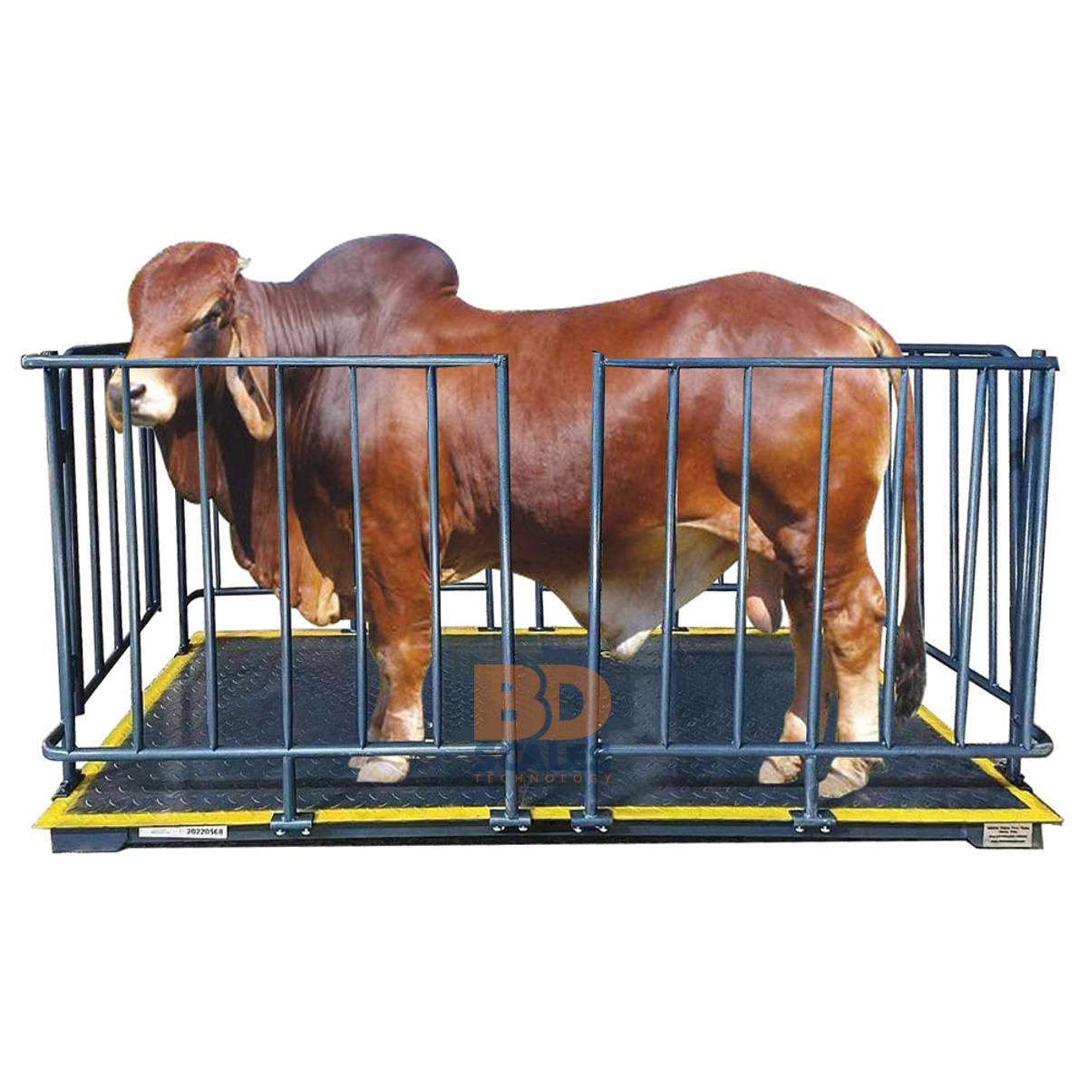 animal-scale Animal Weight Scale - Image 1